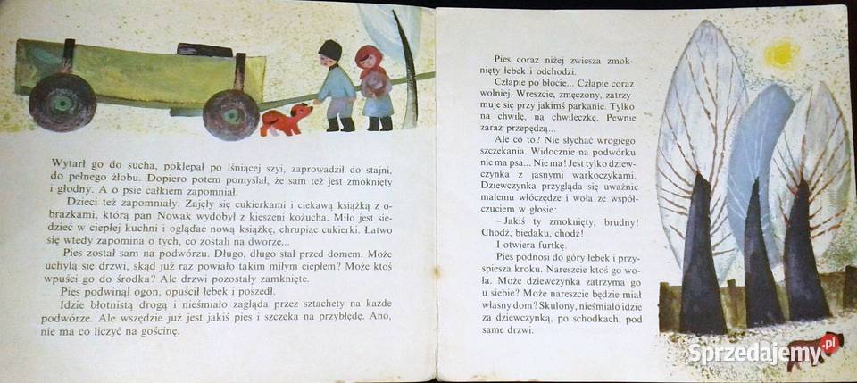 Znajdek Maria Terlikowska