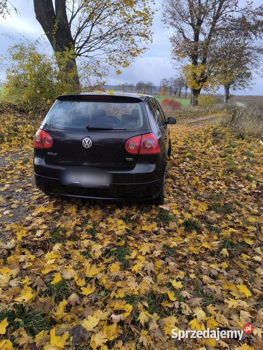 Sprzedam Golf 19 TDI 90 koni Rok produkcji 2005 wielkopolskie Trzcianka