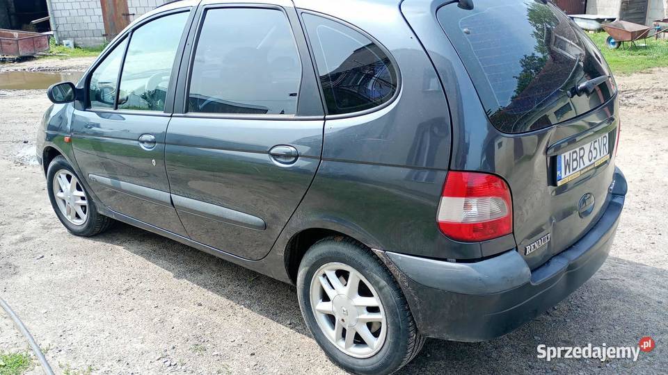 Renault scenic Stary Gózd