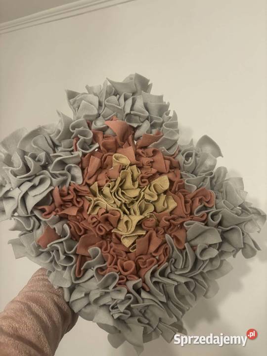 Mata węchowa prezent który merda ogonem pies kot śląskie Bielsko-Biała