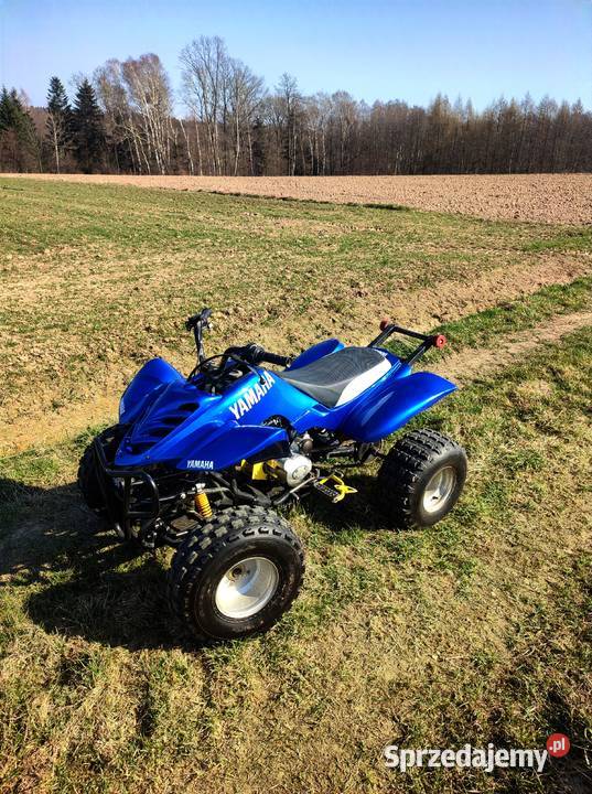 Quad ATV 250 Tarnów