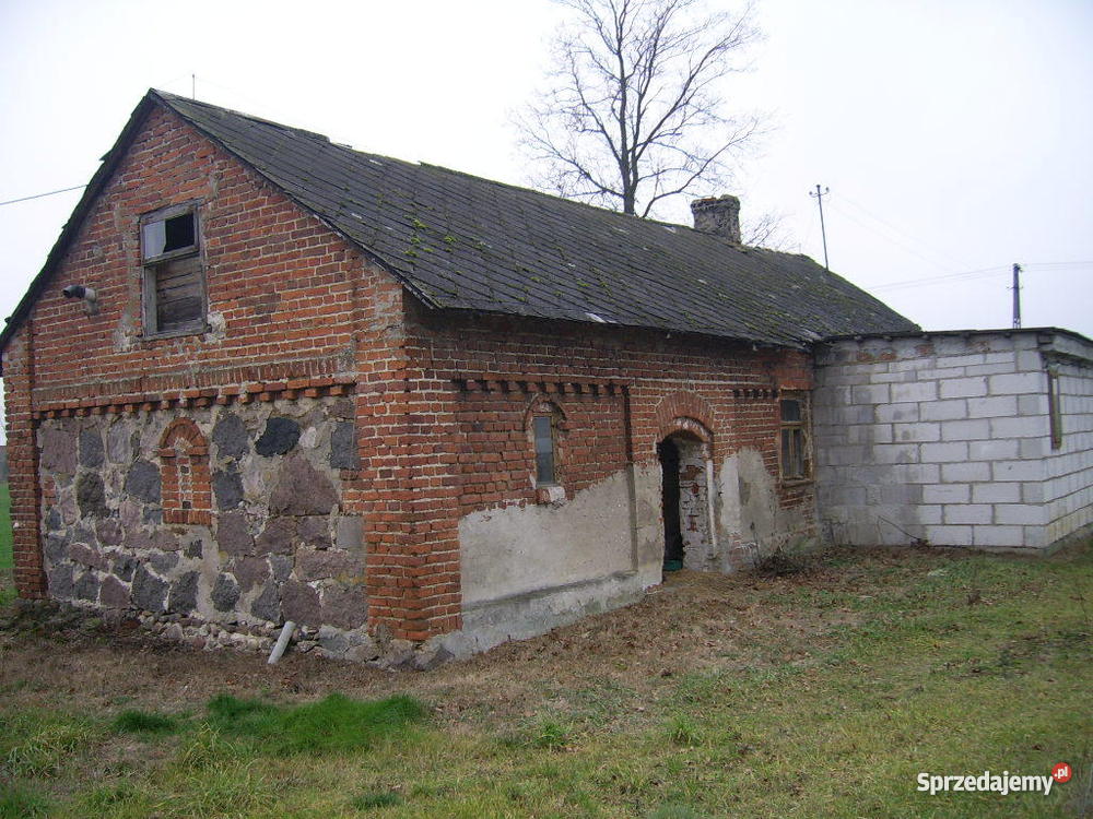 DOMEK POD LASEM Z DZIAŁKĄ120 Warszawy