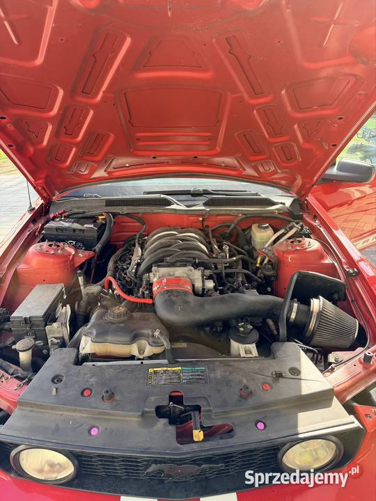 Ford mustang gt GT Goworowo