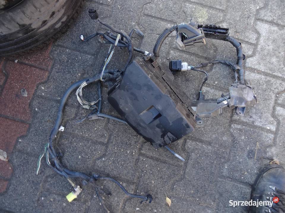 SKRZYNKA BEZPIECZNIK GŁÓWNY AURIS I 22 D