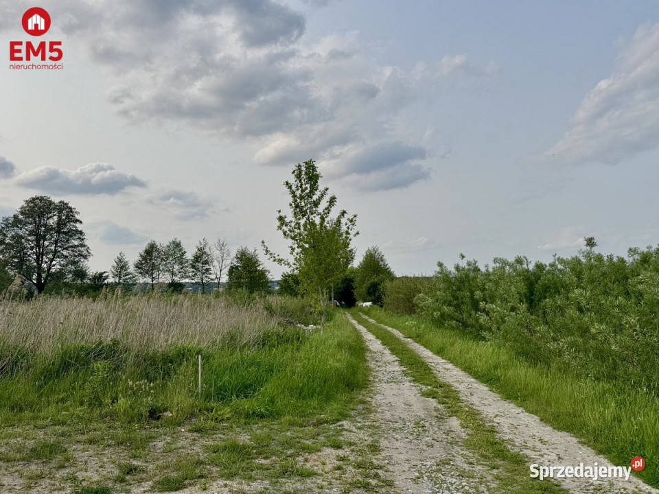 Działka 2855m2 Dąbrówno Nowodworce