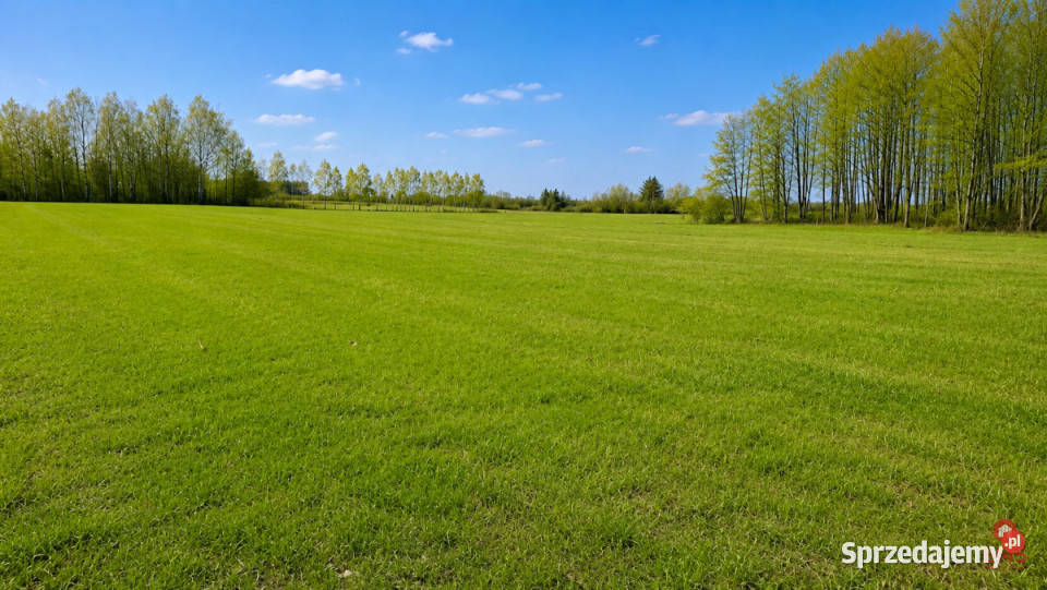 Grunt sprzedam 25280m2 Choroszcz Grunty i działki Nowosiółki