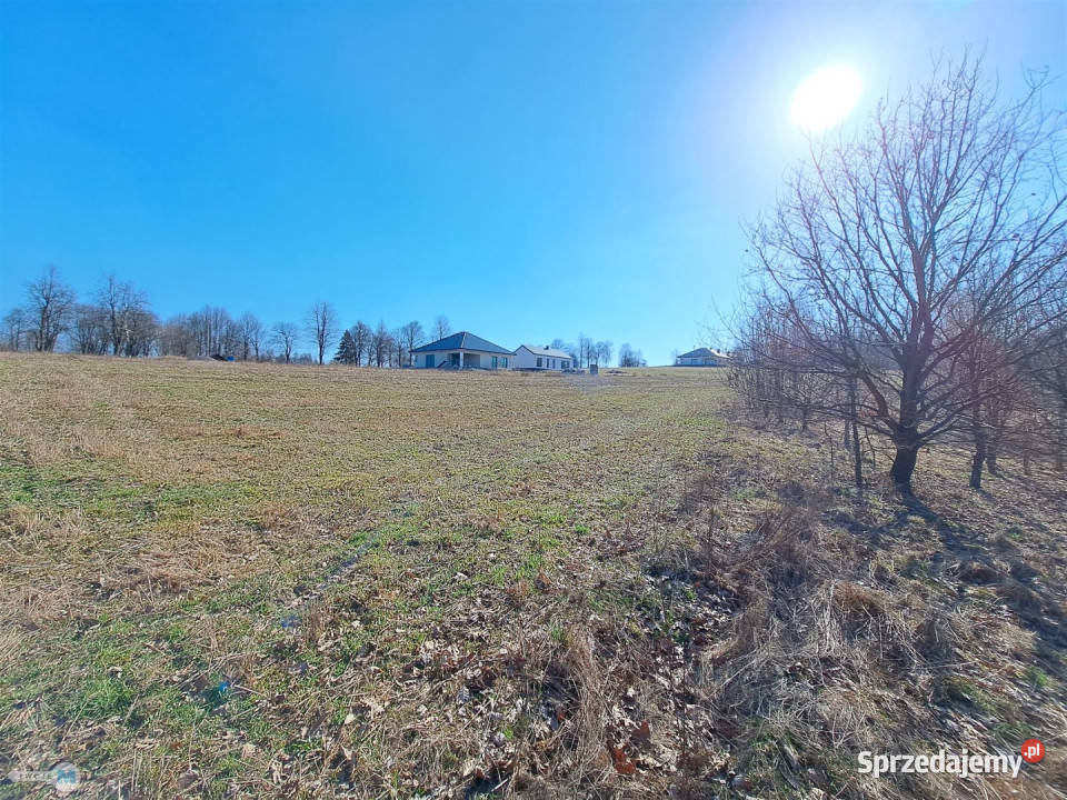 Działka Łagów 5974m2 5974m2 świętokrzyskie