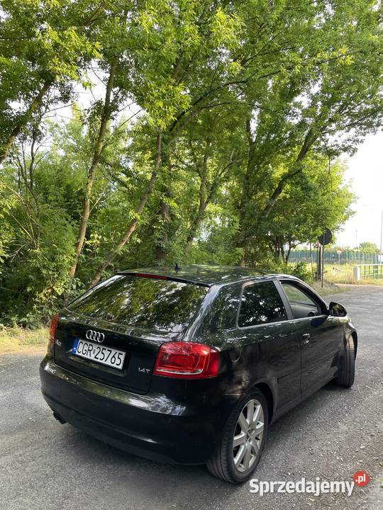 Audi A3 8P 2010R 14T Grudziądz