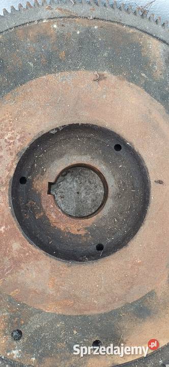 Koło zamachowe Pilzno