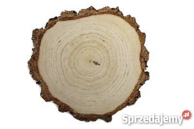 Plastry drewniane krążki brzoza 1720 szlifowane Rybnik