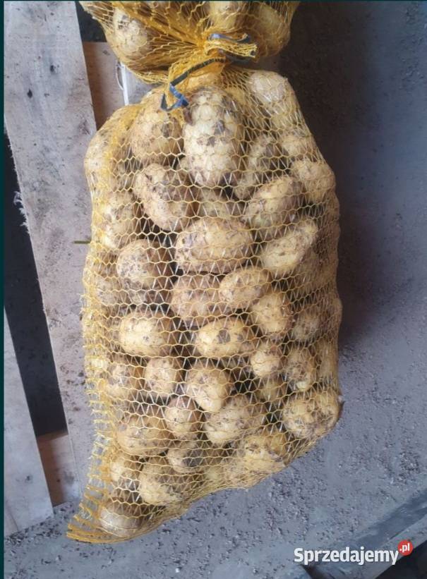 Ziemniaki Jadalne Kraków sprzedam