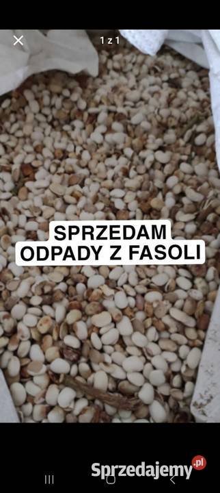 Odpady z Fasoli lubelskie