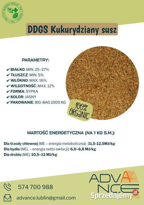 DDGS Jasny i MELASOWANY PASZA WYSOKOENERGETYCZNA Karmy i pasze