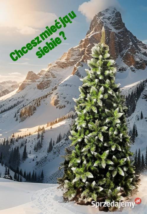 Piękna choinka 250 w metalowym stojaku