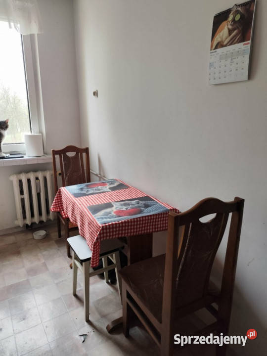 Sprzedam mieszkanie szkolna Sprzedaż śląskie Sosnowiec sprzedam