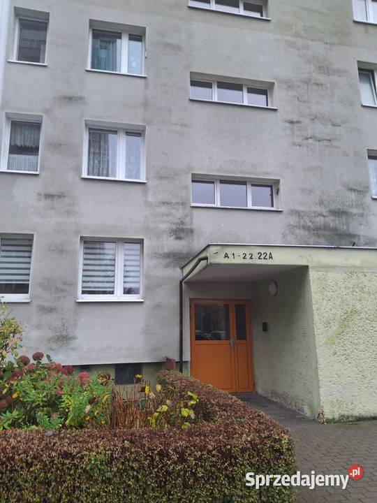 Syndyk sprzeda udziały w lokalu mieszkalnym w