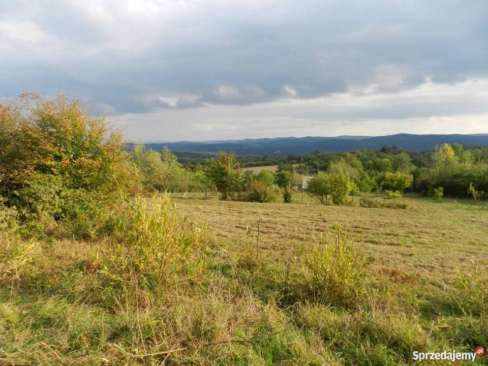 Kopysno pustka godna wypełnienia Kopysno