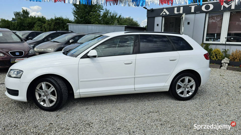 Audi A3 Oszczędny 12 Benzyna Przebieg 198 biały A3 Świdnica