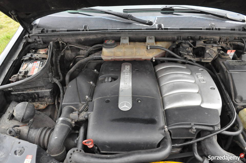 MercedesBenz ML W163 270 CDI M-klasa