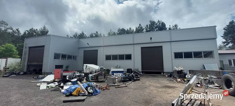 Syndyk sprzeda Amelin