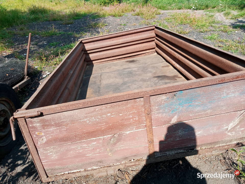 pszyczepka świętokrzyskie Morawica