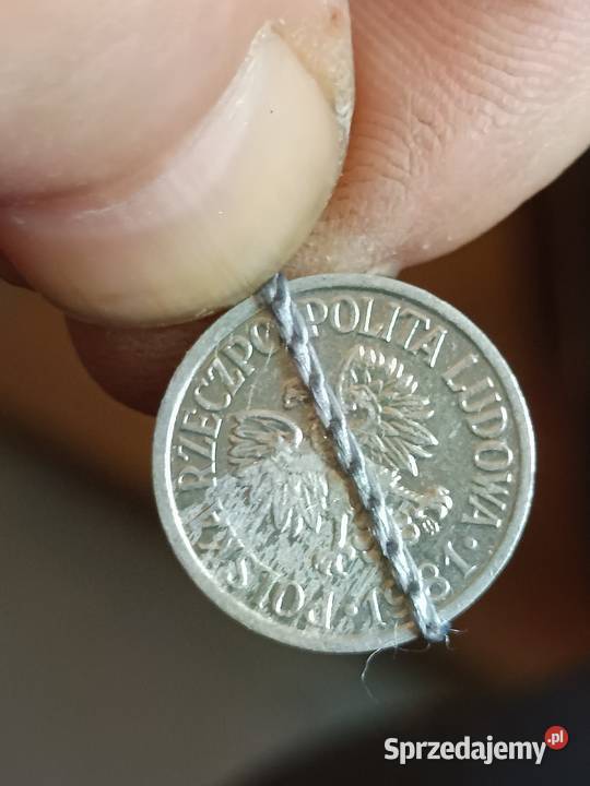 Sprzedam 10 gr 1981 r lekka skretka zzzz Chełm