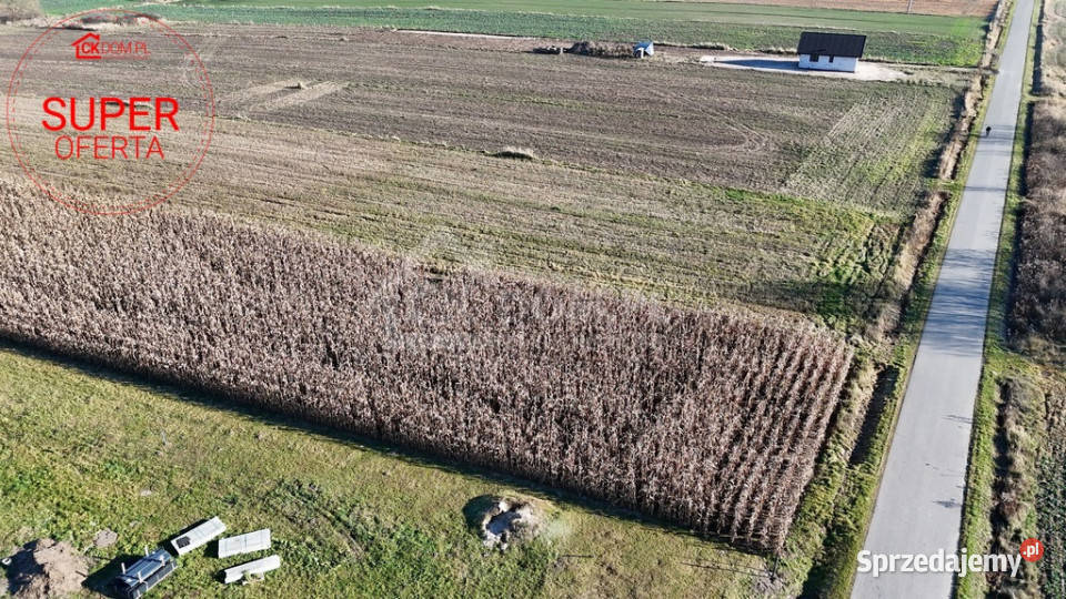 Wyjątkowa działka budowlana 1571 m Sielec asfalt świętokrzyskie sprzedam