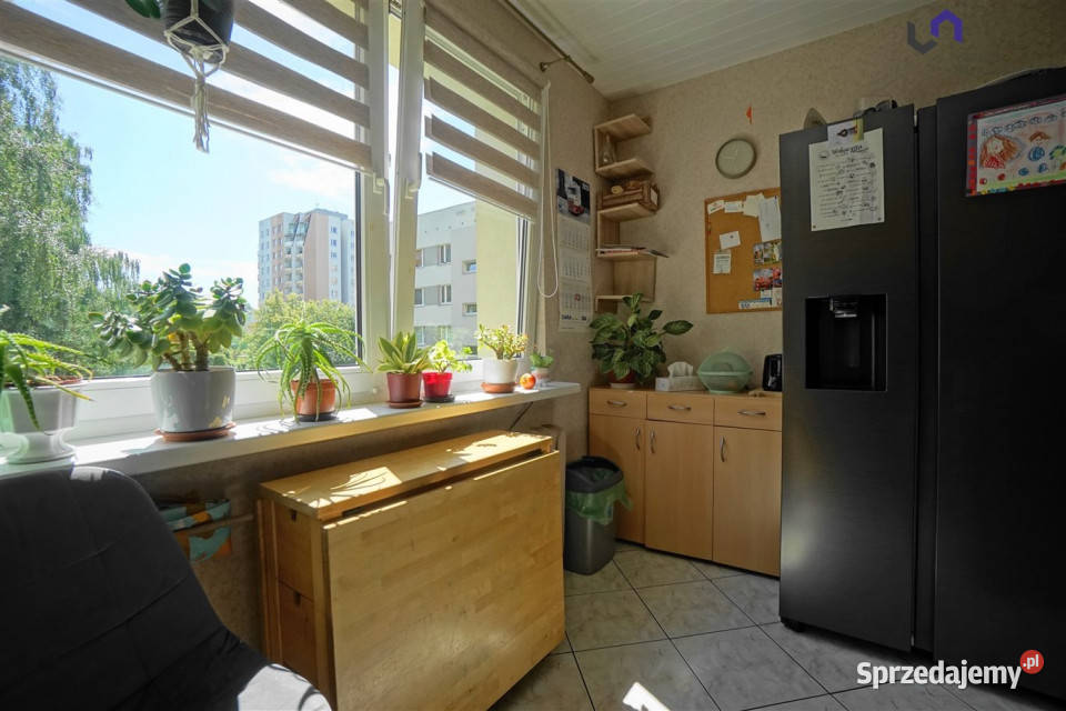 Mieszkanie 487m2 2 pokojowe Katowice sprzedam