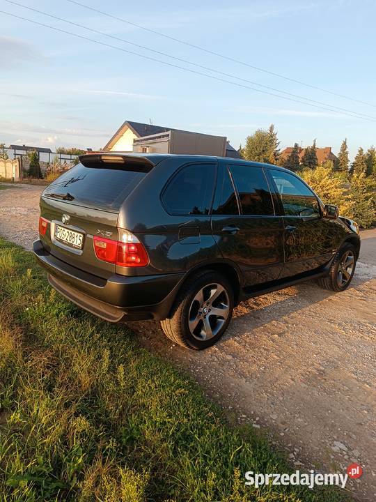 Bmw X5 e53 Piękna Lamki