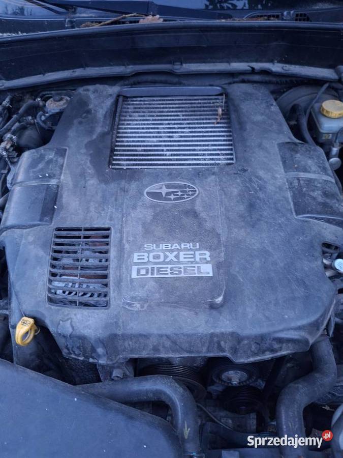 Subaru forester 20 Diesel 4x4 nieuszkodzony Krosno Odrzańskie