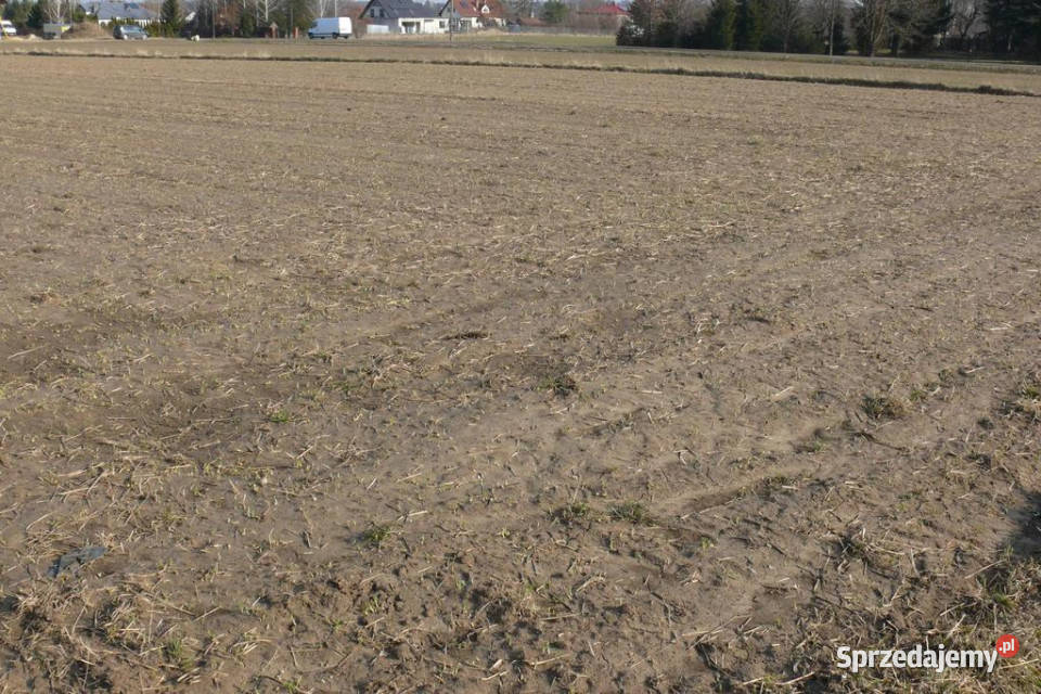 463arDZIAŁKA INWESTYCYJNA rolna Osmolice Pierwsze sprzedam