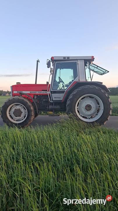 Massey Ferguson 3080 Kikół