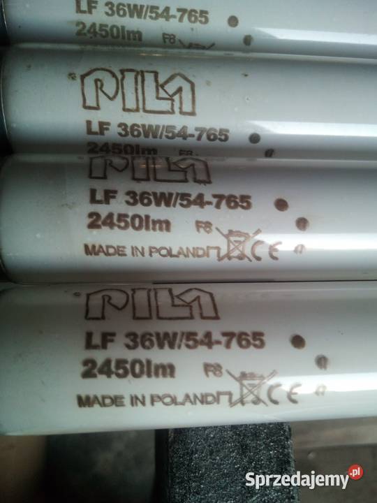 Świetlówki liniowe tradycyjne Pila 36W Hrubieszów sprzedam