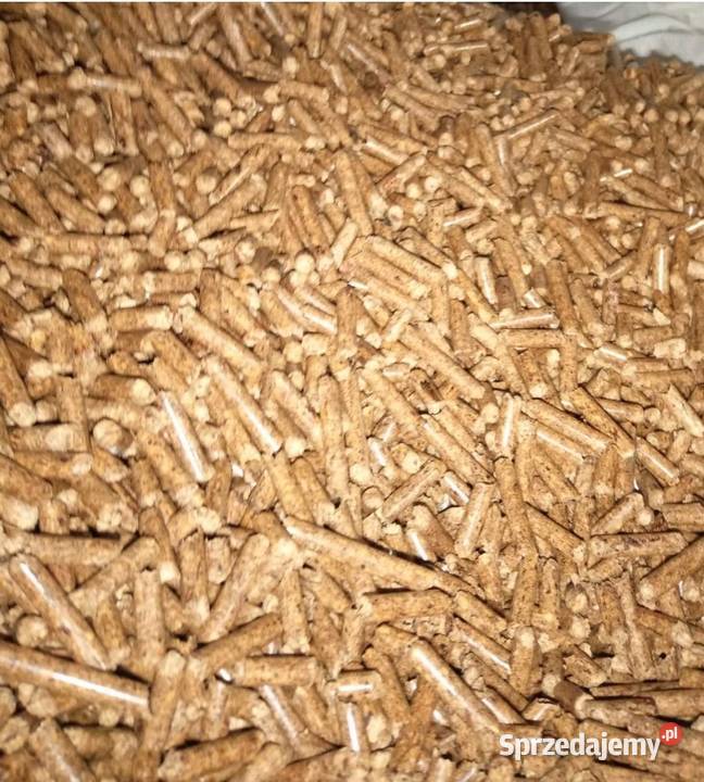 Pellet drzewny Radom