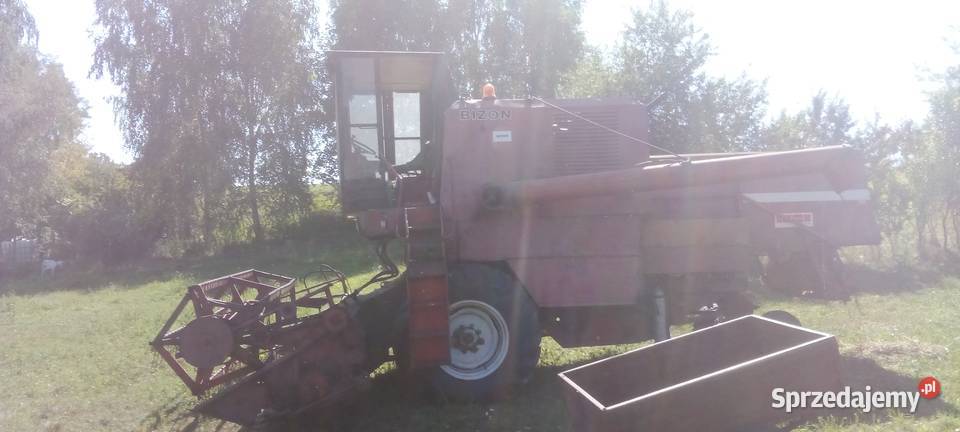 Bizon 56 Morawica