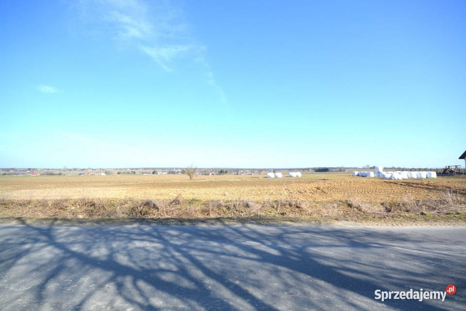 Grunt 1280m2 Skrzynice Pierwsze