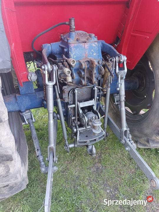 Same centurion export 75 Tarnowiec
