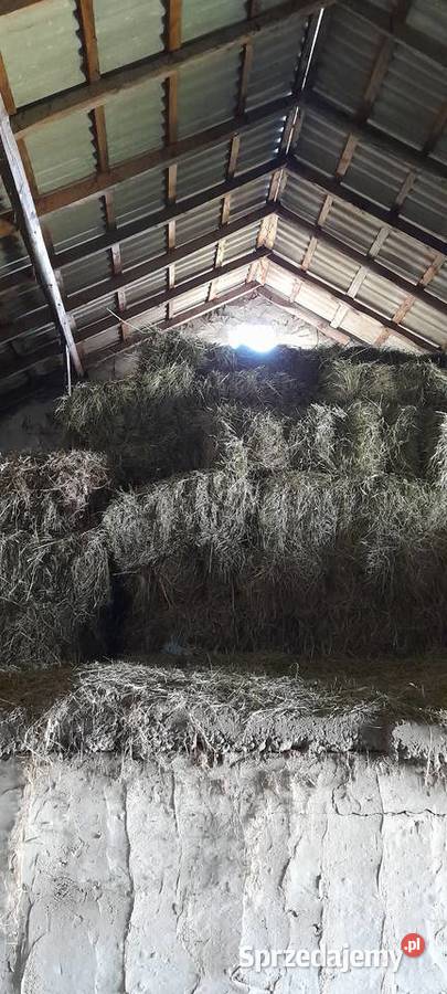 Siano w kostkach Rusiec