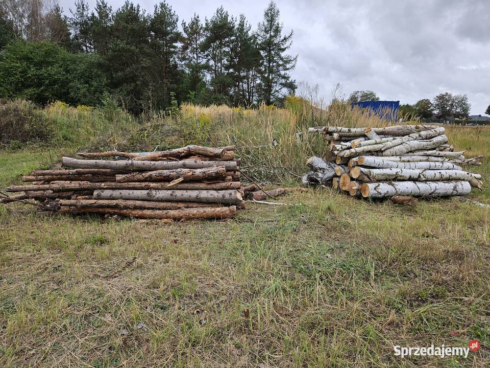 Drewno opałowe Parczew
