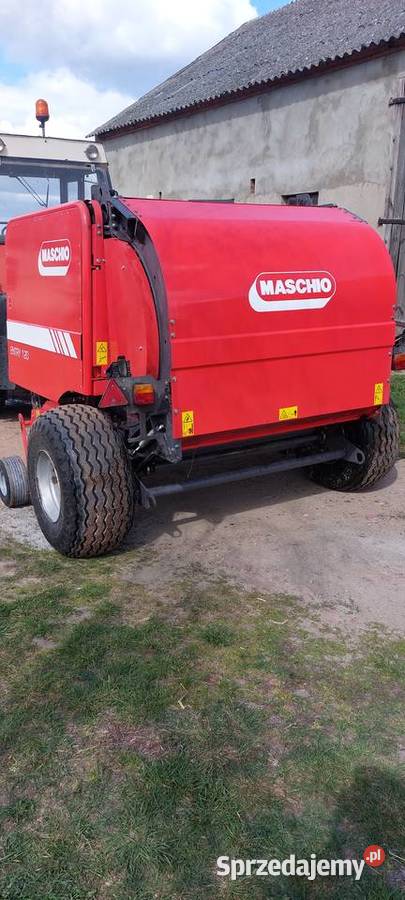 Sprzedam prase Maschio wielkopolskie Margonin
