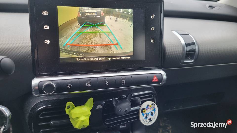 sprzedam citroena Cactus MP3 C4 Cactus