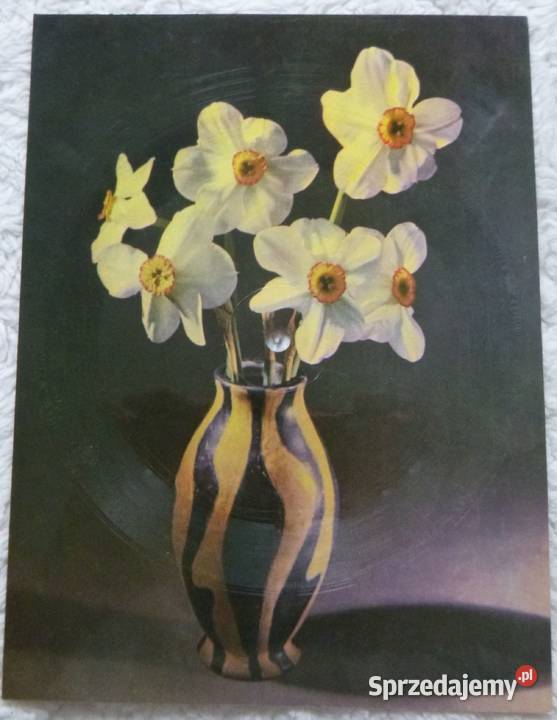 Płyta pocztówka dźwiękowa 4 Płyty i kasety sprzedam