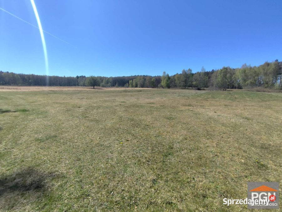 Grunt sprzedam 3005m2 Gostyń Grunty i działki