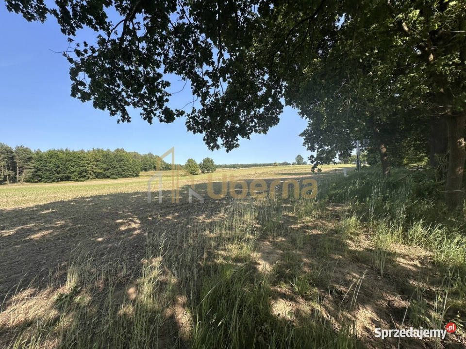 Działka z WZabudowy w Radzanku GmMaszewo utwardzona sprzedam