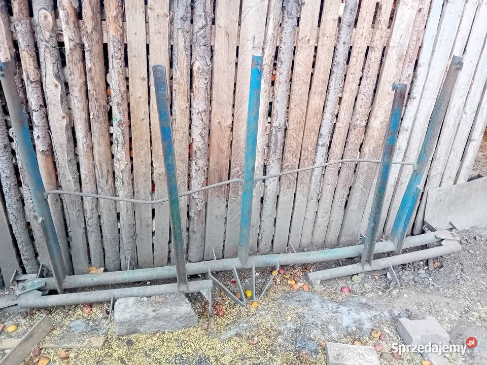 Sprzedam brony 5 dolnośląskie Grudno