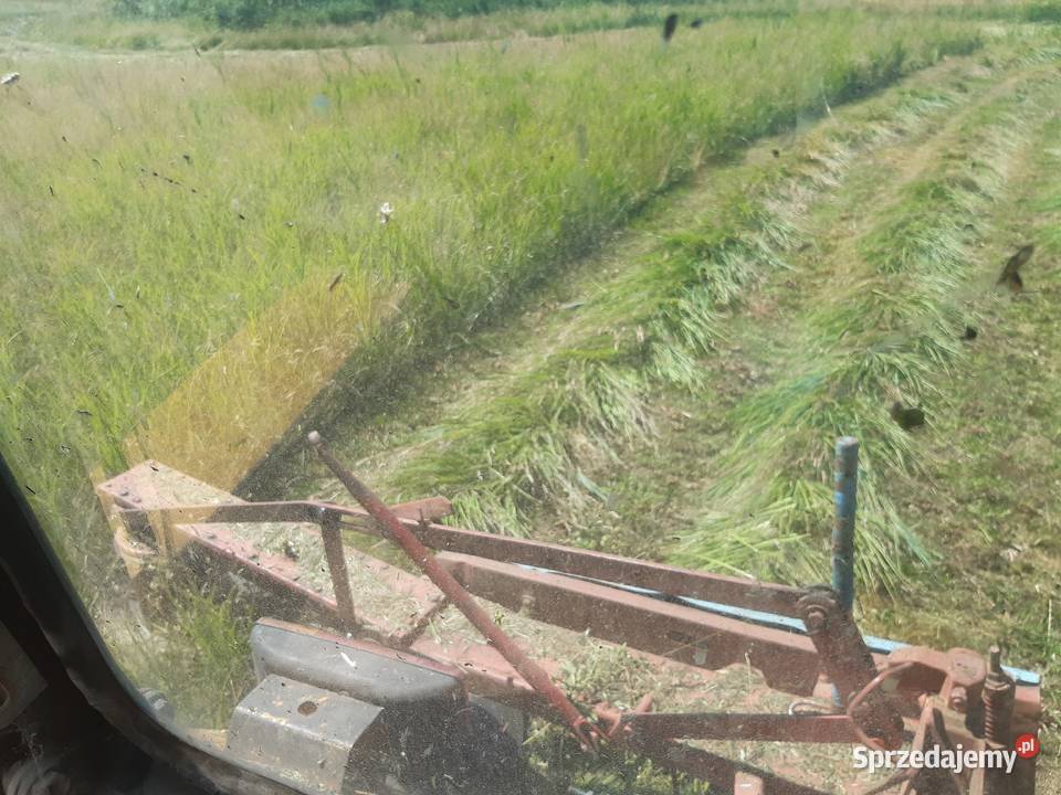 Siewnik poznaniak 27m na sprężynie Barcin sprzedam