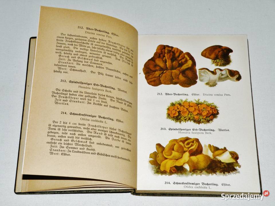 Fhrer fr Pilzfreunde E Michael Tom 3 Wyd B kujawsko-pomorskie Bydgoszcz