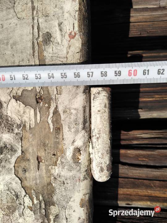 Stare zabytkowe drzwi do renowacji anytykretro Dąbrowa Górnicza