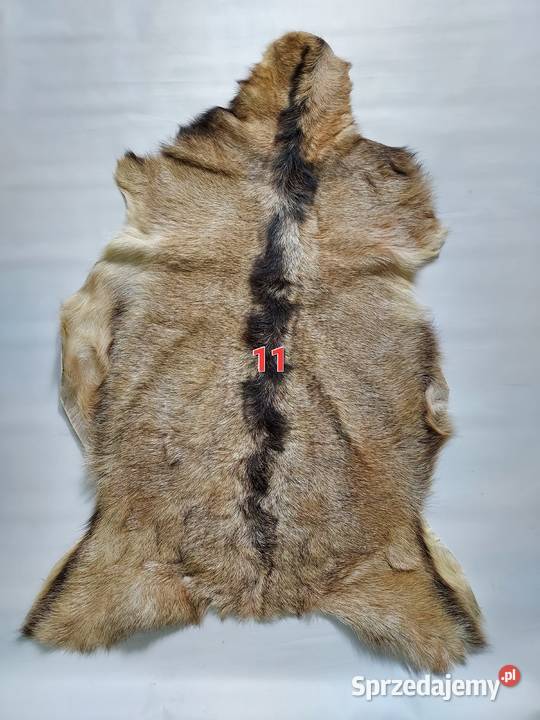 Skóra z Kozy XXL Dekoracyjna Naturalna Skóry