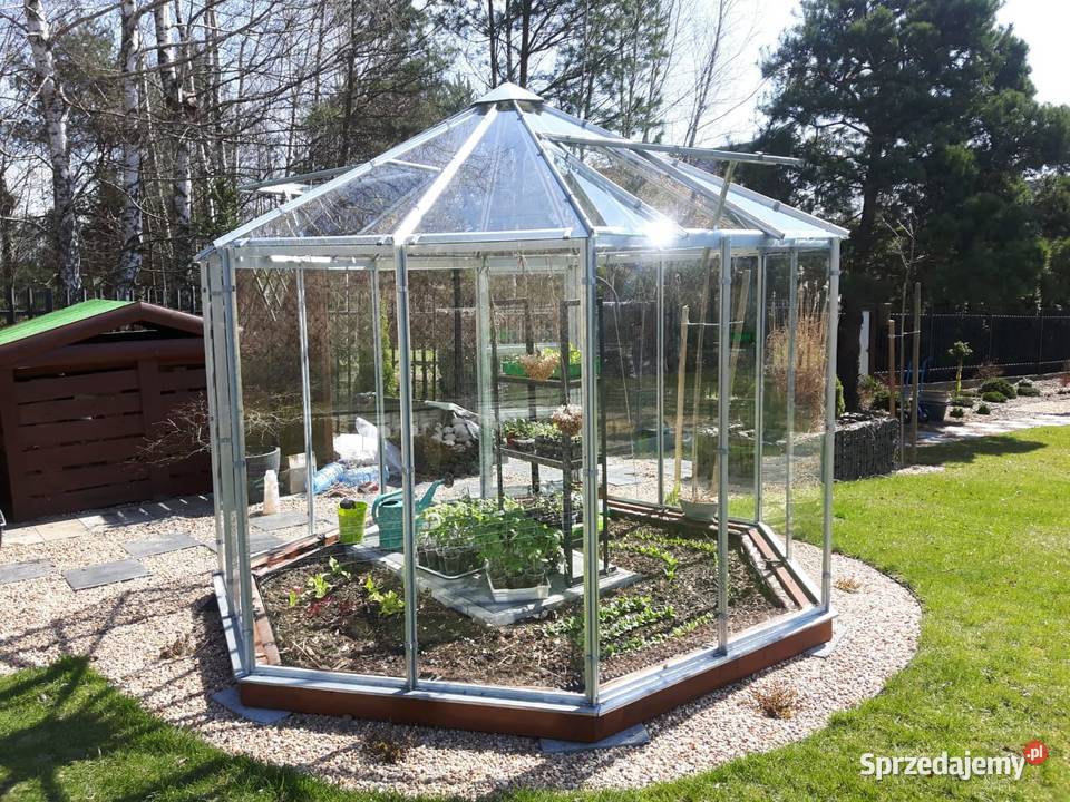 szklarnia Natalia Łobez